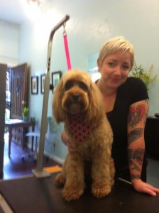 Bella doodle&me